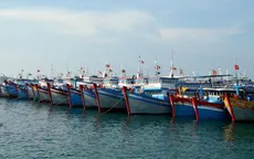 Các địa phương phải báo cáo chống khai thác bất hợp pháp trước 15/9