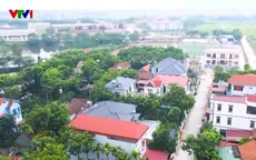 Từ làng nghề xanh đến điểm du lịch bền vững