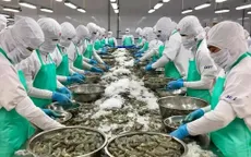 Xuất khẩu tôm 8 tháng đạt gần 3 tỷ USD