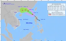 Áp thấp nhiệt đới mạnh lên thành bão số 8