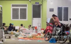 Chủ tịch UBND TP Hà Nội chỉ đạo khẩn sau phản ánh "rau trôi nổi" vào trường học