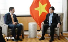 Chủ tịch nước Lương Cường tiếp Giám đốc điều hành Quỹ Đầu tư Warburg Pincus