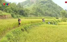 Gian nan lấy nước sinh hoạt ở vùng cao Lào Cai