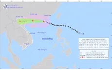Bão số 9 cách Móng Cái (Quảng Ninh) khoảng 650km, cảnh báo mưa lớn và gió giật mạnh