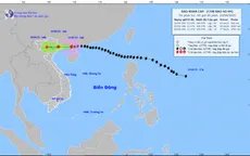 Trưa nay (25/9), bão số 9 đi vào đất liền Quảng Ninh