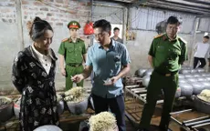 Ngăn chặn kịp thời gần 500kg giá đỗ tẩm hóa chất cấm 6-BAP chuẩn bị tung ra thị trường