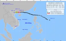 Bão số 9 cách Móng Cái khoảng 100 km, dự báo có nơi mưa to đến rất to