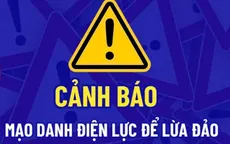 EVN cảnh báo chiêu trò giả mạo nhân viên ngành điện để bán hàng trục lợi