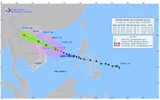 Cục Hàng hải và Đường thủy thành lập 4 đoàn công tác từ Quảng Ninh đến Quảng Ngãi ứng phó bão số 10