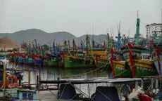 Gia Lai: Hàng trăm tàu cá trong vùng nguy hiểm của bão Bualoi