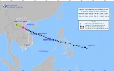 Bão số 10 di chuyển tốc độ 20-25 km/h, sóng biển cao 3-5m, biển động rất mạnh