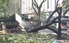 Một Bí thư Chi bộ ở Thanh Hóa tử vong khi đi chống bão