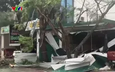 Hàng nghìn ngôi nhà ngập nước, nhiều trường học hư hỏng sau bão số 10 quét qua Nghệ An