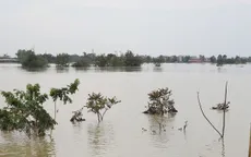 Bắc Ninh phát lệnh báo động trên sông Thương và Lục Nam