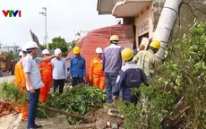 Ninh Bình nỗ lực cấp điện trở lại sớm nhất cho người dân sau bão