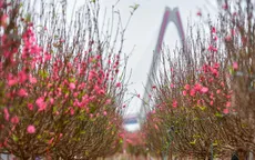 Đề xuất cán bộ, công chức, viên chức nghỉ 9 ngày dịp Tết Âm lịch 2026