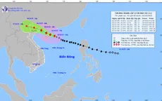 Bão số 11 giật cấp 15 cách Quảng Ninh khoảng 550km