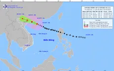 Tối 5/10, bão số 11 vào vùng biển Quảng Ninh, gió giật cấp 15