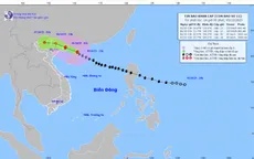 Bão số 11 cách Móng Cái (Quảng Ninh) khoảng 290 km