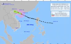 Bão số 11 giật cấp 15, cách Móng Cái (Quảng Ninh) 230 km