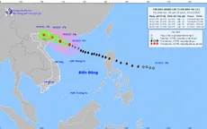 Bão số 11 giật cấp 16 cách Quảng Ninh 420 km, cảnh báo Bắc Bộ mưa lớn diện rộng