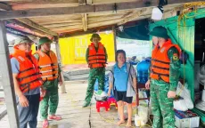 Bộ đội Biên phòng Quảng Ninh kêu gọi, vận động hàng nghìn ngư dân vào nơi tránh bão số 11