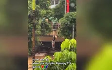 Công an, quân đội kịp thời cứu nhiều người gặp nguy hiểm trong mưa lũ