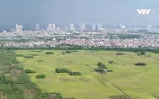 5 địa phương phải rà soát dự án tồn đọng kéo dài trước ngày 15/10