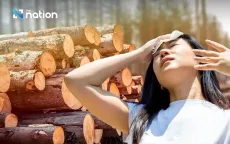 Phá rừng tại Đông Nam Á gây ra nhiều ca tử vong hơn bất kỳ khu vực nhiệt đới nào