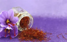 Mùa thu hoạch saffron - "vàng đỏ" ở Italia