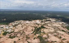 “Cơn sốt vàng” tàn phá 140.000 ha rừng Amazon