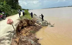Vĩnh Long chủ động ứng phó sạt lở khi triều cường dâng cao