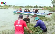 Nông dân miền Tây làm du lịch mùa nước nổi
