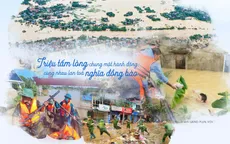 Nghĩa đồng bào - Cùng VTV chung tay vì đồng bào vùng lũ