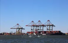 Gỗ nhập khẩu vào Mỹ chịu mức thuế mới