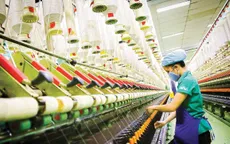 Sức bật của SMEs tại Hội chợ Mùa Thu 2025: Thúc đẩy tiêu dùng xanh và chuyển đổi số