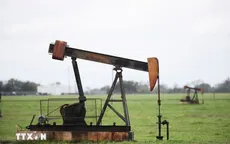 Ấn Độ sẵn sàng mua thêm dầu của Mỹ