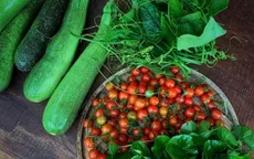 Thú vị món ăn thực dưỡng từ vườn nhà
