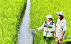 Phê duyệt Chiến lược phát triển khuyến nông đến 2030, tầm nhìn 2050