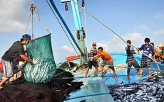 Thủ tướng yêu cầu tập trung thực hiện tháng cao điểm chống khai thác hải sản bất hợp pháp