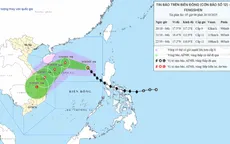 Bão số 12 giật cấp 11, cách đặc khu Hoàng Sa khoảng 540 km