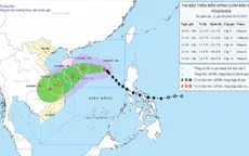 Bão số 12 di chuyển tốc độ 20-25 km/h, vùng gần tâm bão sóng biển cao 5-7 m