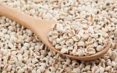 Thu hồi lô dược liệu ý dĩ không đạt tiêu chuẩn chất lượng