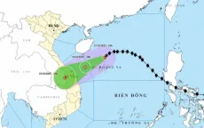 Ảnh hưởng bão số 12: Từ Nam Quảng Trị đến Đà Nẵng có mưa phổ biến từ 500-700 mm