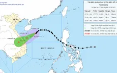Bão số 12 cách TP Đà Nẵng khoảng 420 km, gió giật cấp 12