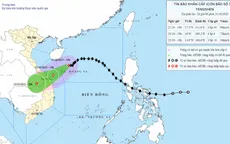 Bão số 12 di chuyển tốc độ 10 - 15 km/h, cách TP Đà Nẵng khoảng 390 km