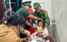 Người đàn ông nghi bị gấu tấn công khi đi rẫy
