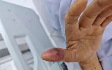 Cảnh báo rắn độc vào nhà mùa mưa