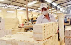 Doanh nghiệp gỗ Việt tìm hướng đi mới tại thị trường Mỹ