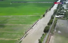 Nguy cơ tiếp tục vỡ đê tại Đồng Tháp